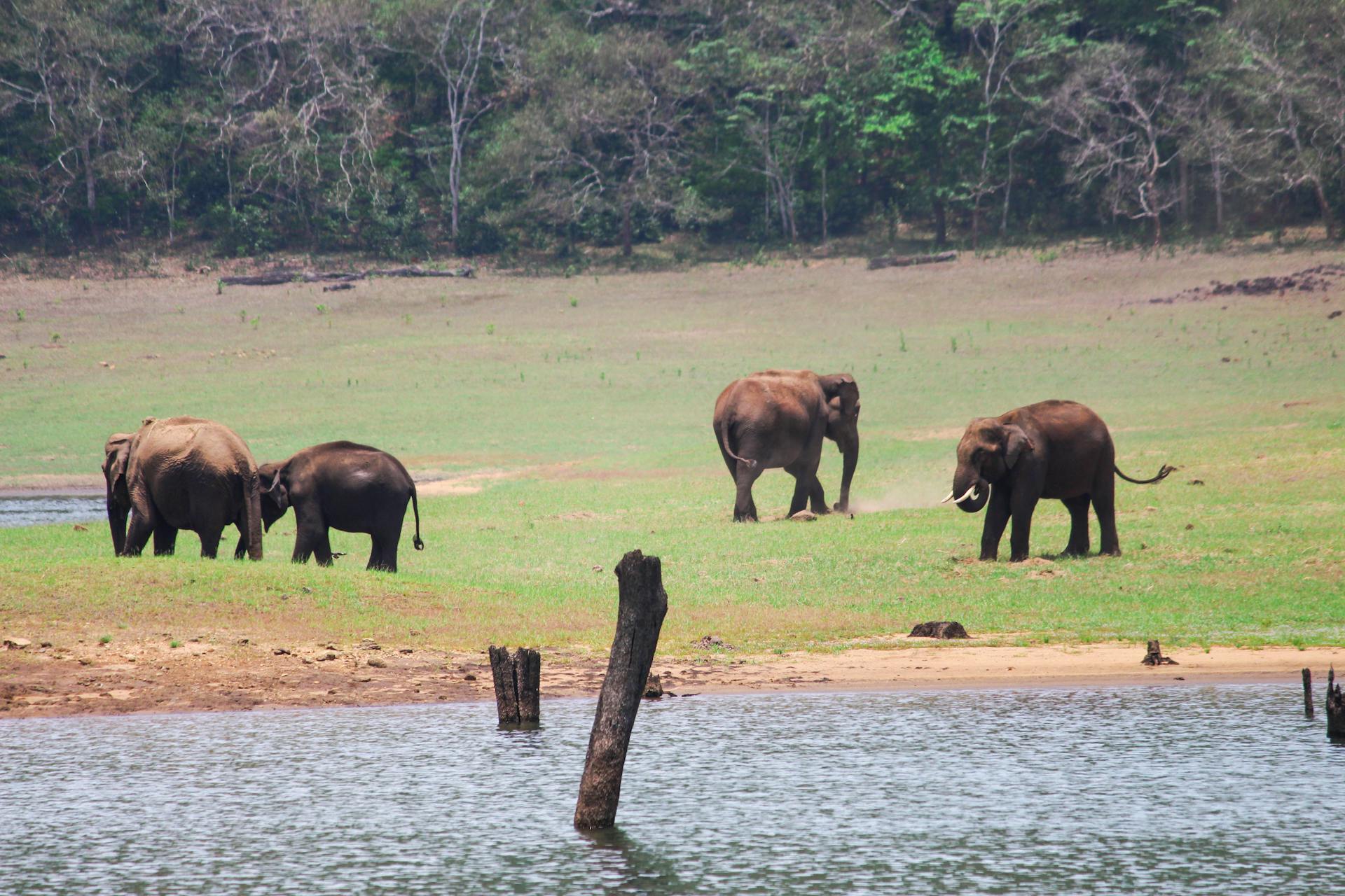Madurai to Thekkady cab route