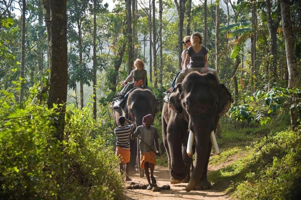 Madurai to Kodaikanal, Munnar, Thekkady & Alappuzha Tour Package