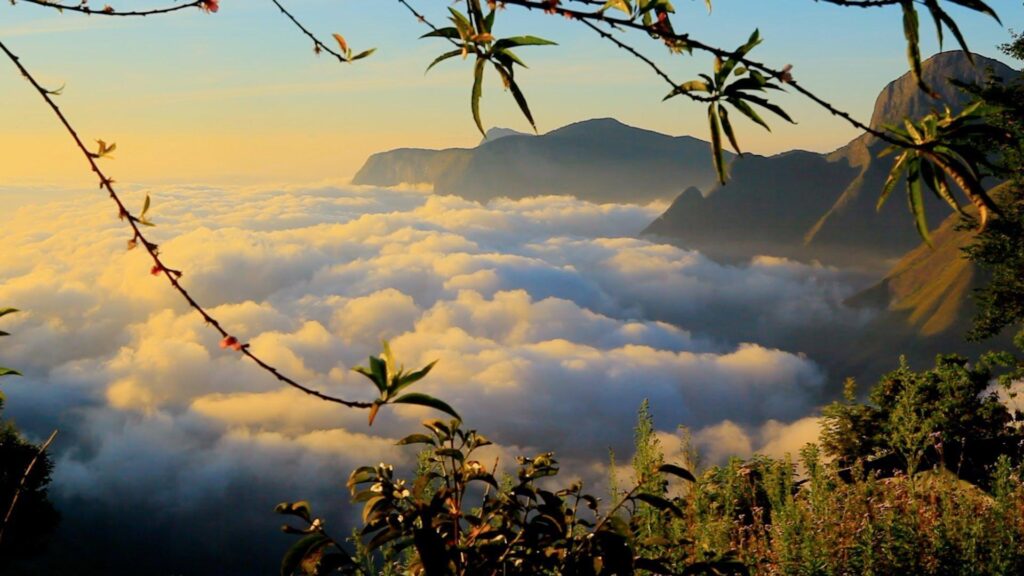 Munnar