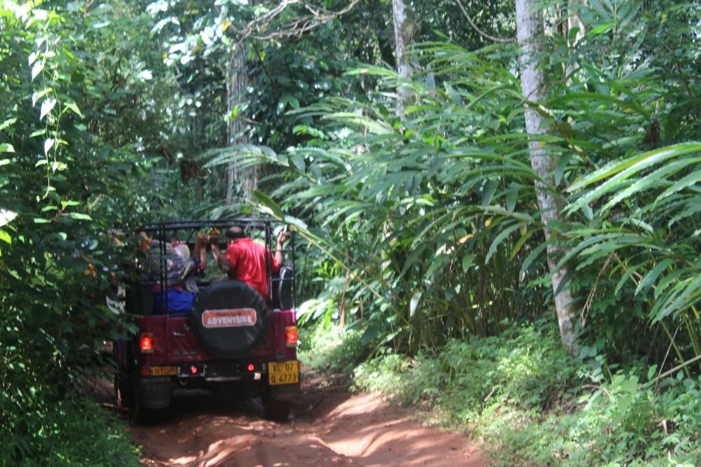 Madurai to Kodaikanal, Munnar Tour Packages